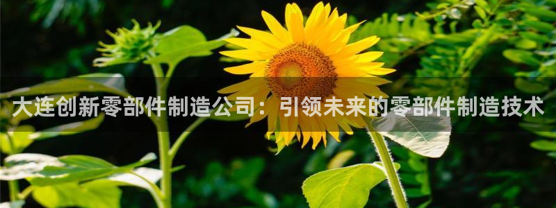 彩神8最新版下载