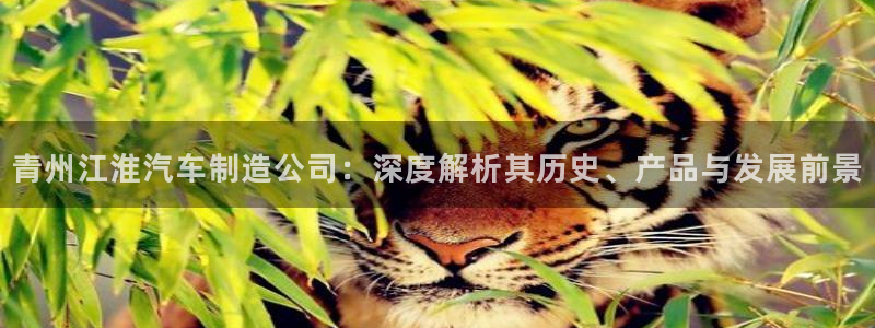 彩神vii手游下载：青州江淮汽车制造公司：深度解析其历史、产品与发展前景