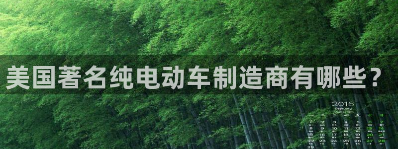 彩神购彩-购彩大厅入口娱乐首选：美国著名纯电动车制造商有哪些？