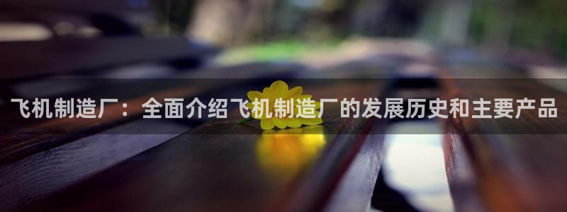 新版彩神v8登录不了：飞机制造厂：全面介绍飞机制造厂的发展历