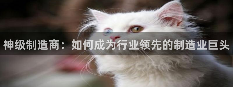 彩神网官网登录