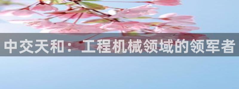 彩神v8是一个什么平台