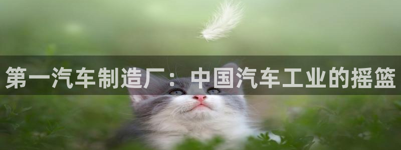 彩神争霸官方下载