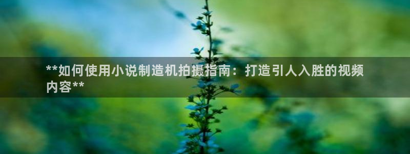 彩神通官方网