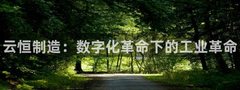 彩神vlll官方网