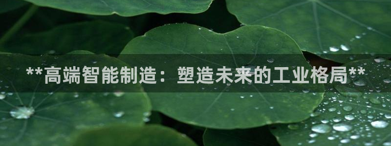 彩神v8app