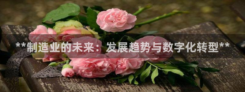 彩神趣购彩用户注册：**制造业的未来：发展趋势与数字化转型*