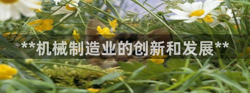 彩神v8手机客户端在哪：**机械制造业的创新和发展**