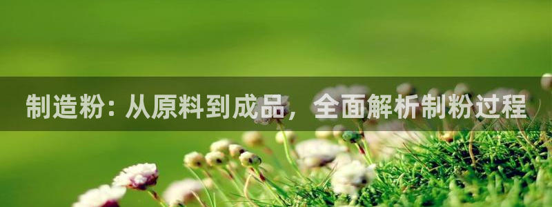 彩神的邀请码是多少：制造粉: 从原料到成品，全面解析制粉过程