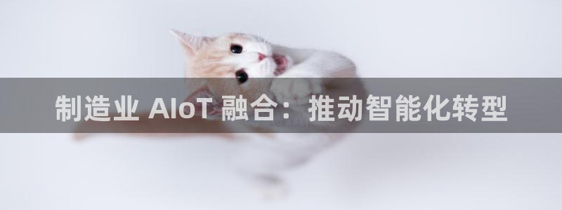 彩神V购彩大厅：制造业 AIoT 融合：推动智能化转型
