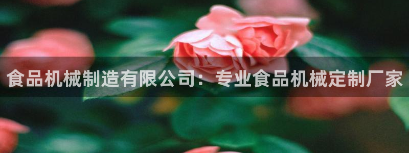 彩神8最新版下载：食品机械制造有限公司：专业食品机械定制厂家
