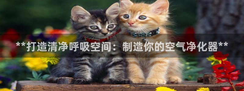 彩神v8首页：**打造清净呼吸空间：制造你的空气净化器**