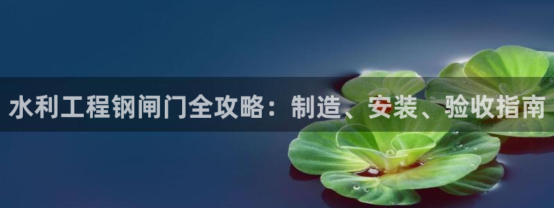 彩神ix可靠吗：水利工程钢闸门全攻略：制造、安装、验收指南