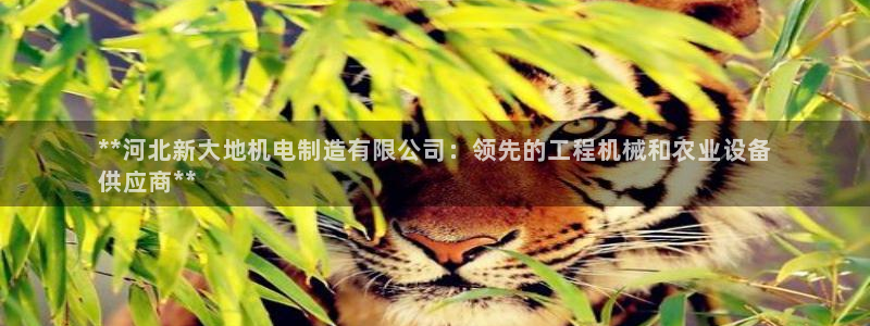 彩神V8平台：**河北新大地机电制造有限公司：领先的工程机械和农业设备
供应商**