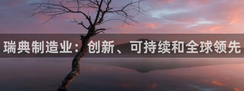 彩神v8下载app：瑞典制造业：创新、可持续和全球领先
