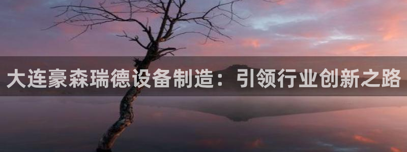 彩神v8iii：大连豪森瑞德设备制造：引领行业创新之路