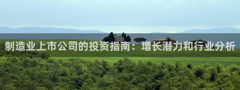彩神ll能赚钱吗：制造业上市公司的投资指南：增长潜力和行业分析