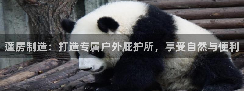 彩神平台可以破解吗：蓬房制造：打造专属户外庇护所，享受自然与便利