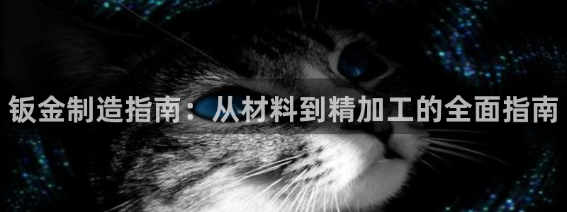 彩神v天天：钣金制造指南：从材料到精加工的全面指南