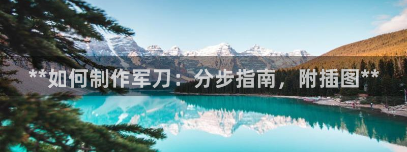 大发彩神争：**如何制作军刀：分步指南，附插图**