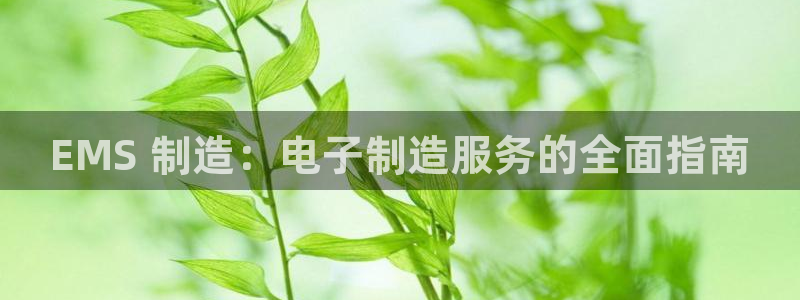 彩神8软件下载：EMS 制造：电子制造服务的全面指南