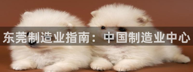 彩神大发云：东莞制造业指南：中国制造业中心